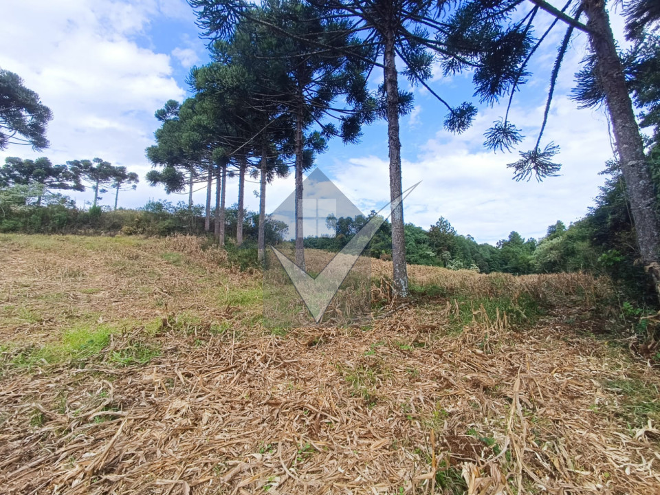 Sítio - Santa Terezinha em Nova Prata - RS